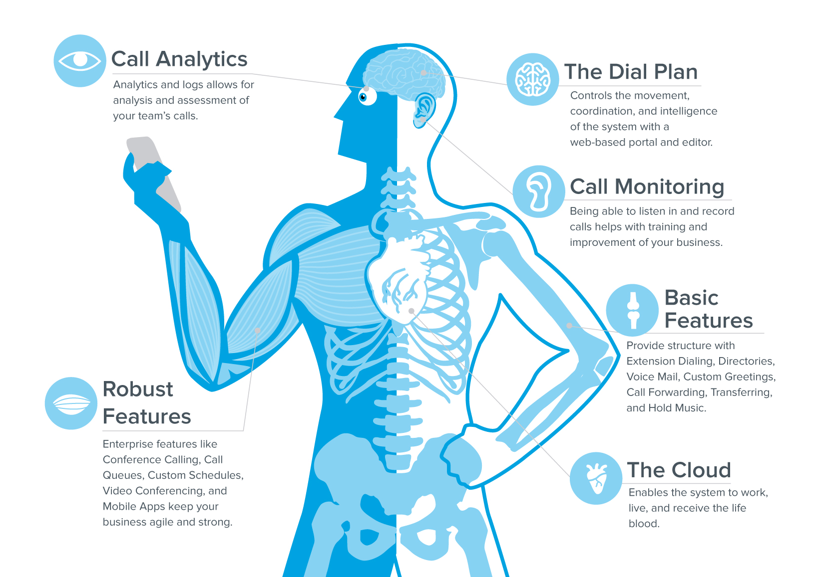 Jive Body Infographic